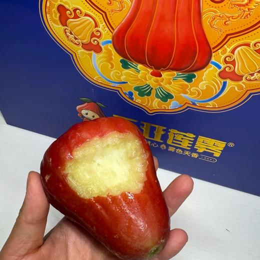 南麓一号莲雾 微笑果 海南空运 好好吃 商品图11