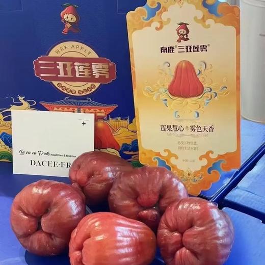 南麓一号莲雾 微笑果 海南空运 好好吃 商品图4