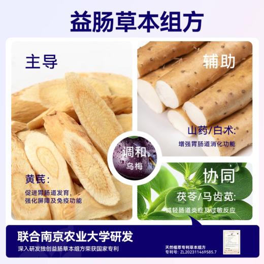 麦富迪barf霸弗成幼猫粮添加主食冻干营养全价鲜肉猫粮 商品图2