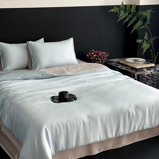 【热卖推荐】自然醒A类奥地利进口60支兰精天丝纯色双拼四件套HS 商品图8