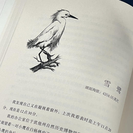 心灵的慰藉：一部非同寻常的地域与家族史（二版）  特丽·威廉斯 著 美国自然文学经典译丛  三联书店旗舰店 商品图1