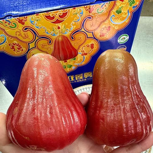 南麓一号莲雾 微笑果 海南空运 好好吃 商品图2