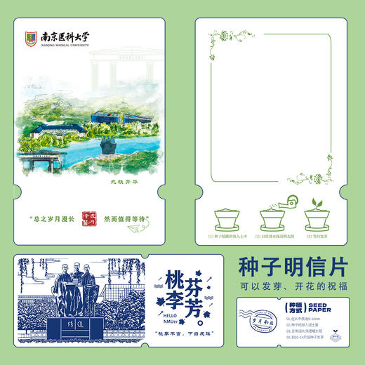 种子明信片 商品图4