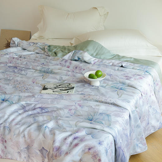 【热卖推荐】自然醒60支奥地利进口兰精天丝数码印花夏被HS 商品图0