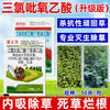 三氯吡氧乙酸杀藤类藤蔓灌木葛根络石藤专用农药除草剂老牌子正品 商品缩略图4