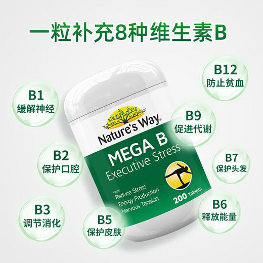 佳思敏（Nature's Way）澳萃维 复 合 维生素B族片 200粒/瓶  澳洲进口 商品图3