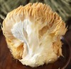 神农架猴头菇120克 商品缩略图2