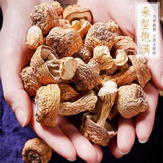 神农架干松茸120克 商品图1