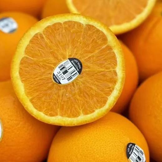 进口新奇士甜橙 榨橙汁必备 商品图6