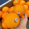 进口新奇士甜橙 榨橙汁必备 商品缩略图13