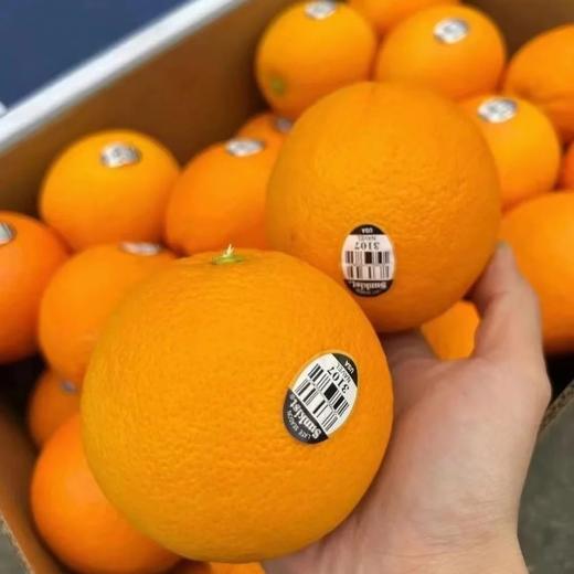 进口新奇士甜橙 榨橙汁必备 商品图13