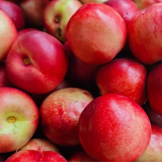 有机珍珠枣油桃 | 合作生产*Organic pearl jujube oil peach |  Partner Production 商品图7