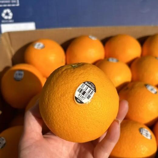 进口新奇士甜橙 榨橙汁必备 商品图7