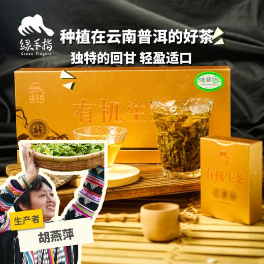 有机生茶（普洱茶）| 合作生产 * White Tea| Coproduction 商品图0