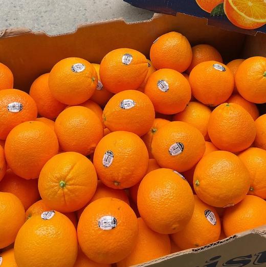 进口新奇士甜橙 榨橙汁必备 商品图9