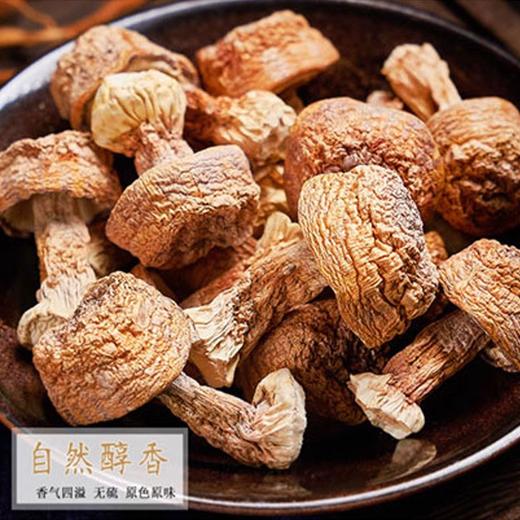 神农架干松茸120克 商品图2