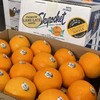 进口新奇士甜橙 榨橙汁必备 商品缩略图5
