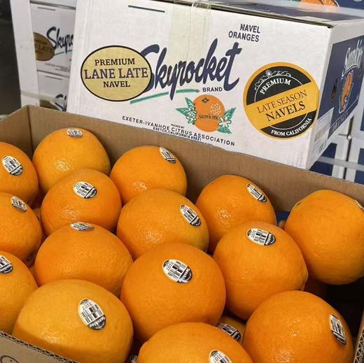 进口新奇士甜橙 榨橙汁必备 商品图5