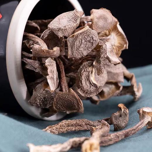 神农架鹿茸菇150克 商品图2