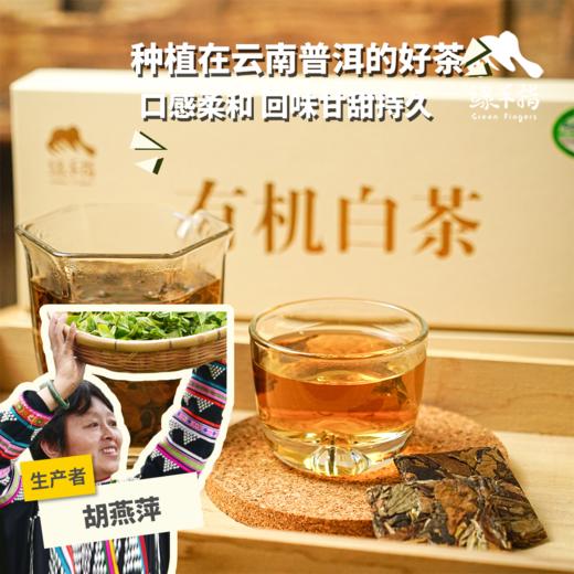 有机白茶| 合作生产 * White Tea| Coproduction 商品图0