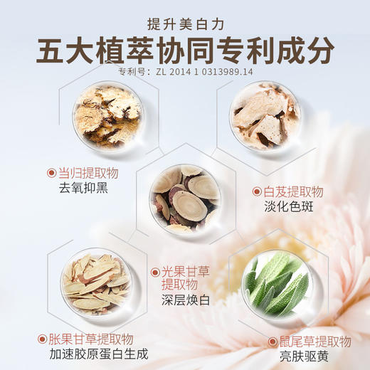 【所有会员可享】儒意美白面膜5片｜提亮肤色 ,保湿补水 (订单满29元可联系客服包邮寄出) 商品图6