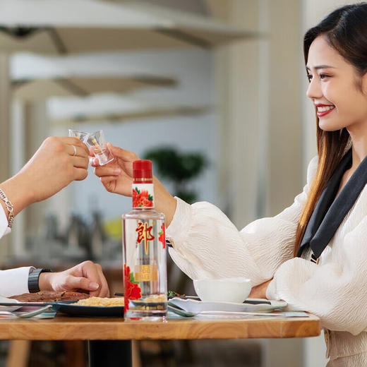 郎酒 45°顺品郎（红顺）480ml 商品图3