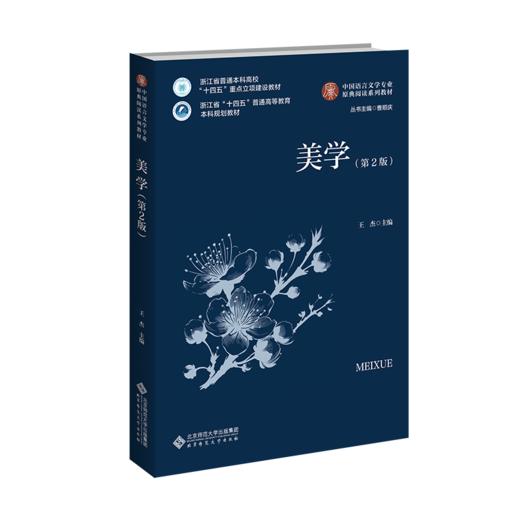 美学（第2版） 9787303301980  王杰/主编 中国语言文学专业原典阅读系列教材 北京师范大学出版社 正版书籍 商品图0