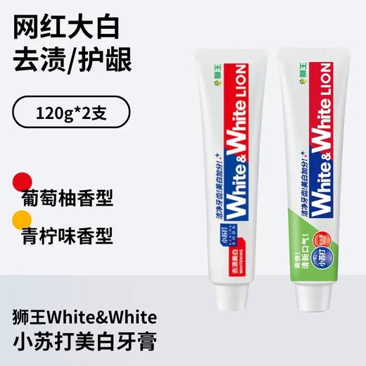 狮王小苏打美白牙膏套组（葡萄柚120g+沁凉青柠120g） 商品图1