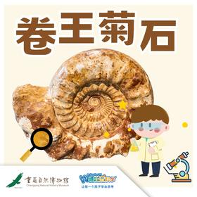 【重庆自然博物馆】卷王菊石