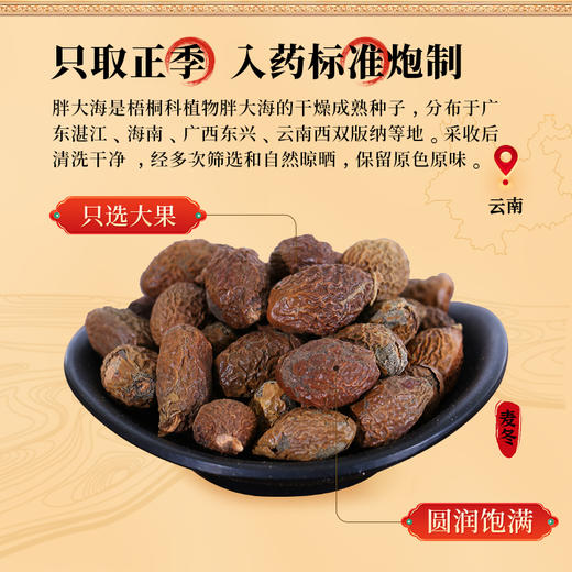 康美药业胖大海80g/瓶 药食同源康美罐装中药饮片 商品图2