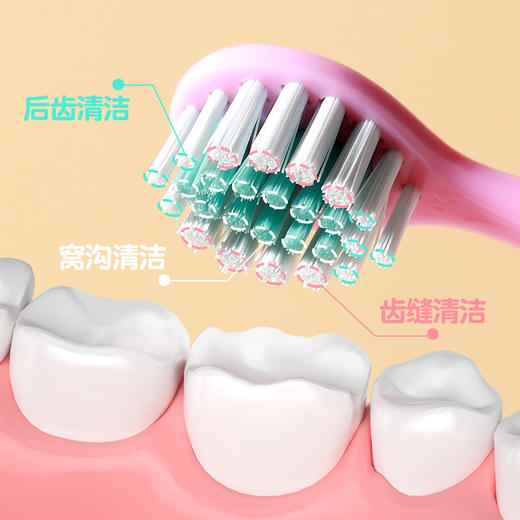 【分阶护齿抗菌儿童牙刷】2支装0-3-6-9岁 婴幼儿宝宝软毛牙刷 保护萌牙 商品图3