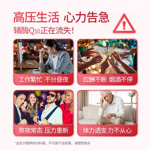 人福普克辅酶 Q10软胶囊增强免疫力抗氧化30粒q10 商品图3