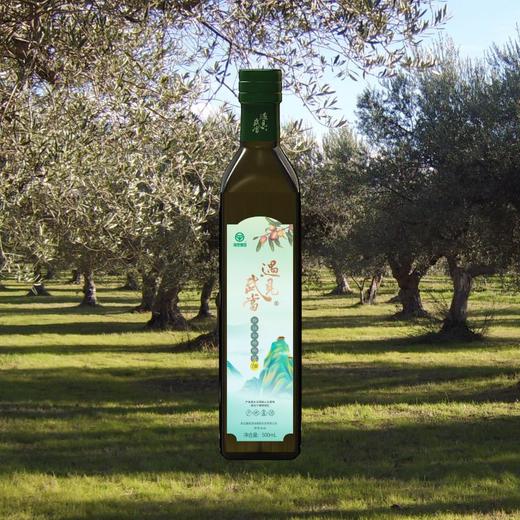 【严选】十堰遇见武当·特级初榨橄榄油单支家庭食用装500ML（厂家直发） 商品图0