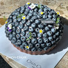 满满蓝莓挞 商品缩略图4