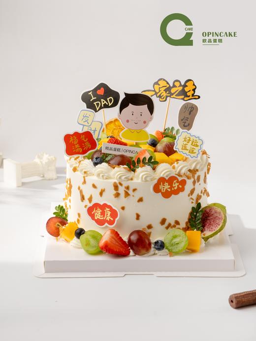 帅气家主 商品图0