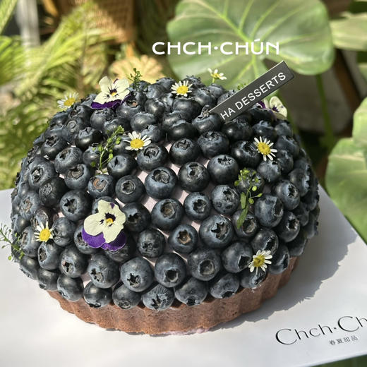 满满蓝莓挞 商品图3