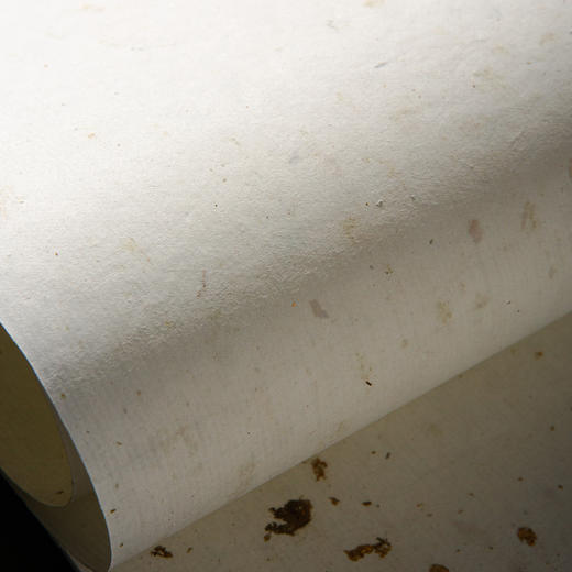 70年代十竹斋制冷金纸（一卷50张） 商品图8