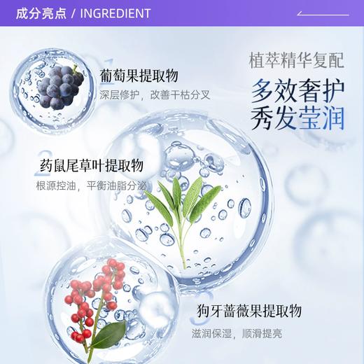 【福利购】500ml莱清菲洗护系列 日本原装进口 植萃呵护 留香48小时 商品图1