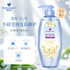 【福利购】500ml莱清菲洗护系列 日本原装进口 植萃呵护 留香48小时 商品缩略图4