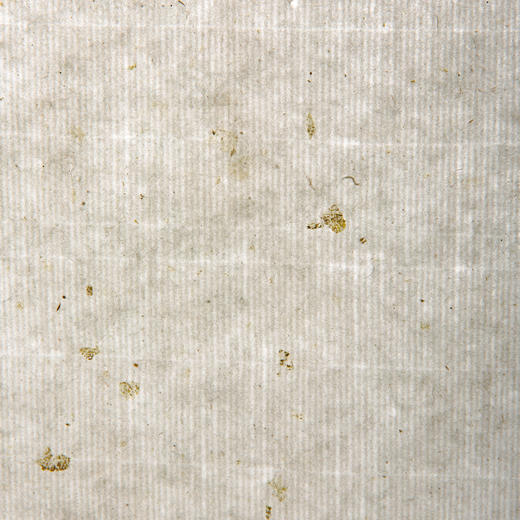 70年代十竹斋制冷金纸（一卷50张） 商品图12