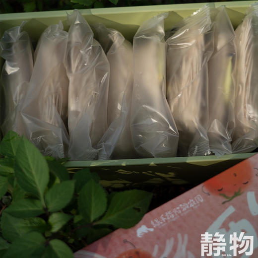 有机西红柿细面490g（8团）｜绿手指农场 商品图3