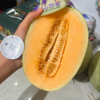 海南哈密瓜 甜脆黄肉 商品缩略图9