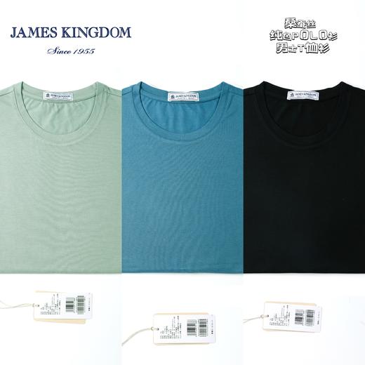 【专柜新款  含桑蚕丝圆领T恤衫】占姆士男士含桑蚕丝圆领纯色T恤衫 商品图0