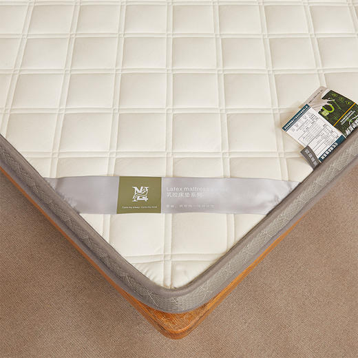 自然醒艾棉乳胶记忆棉立体床垫单双人加厚床褥家用学生宿舍软垫棉垫子LN 商品图13