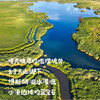 【排单3天发货】新疆“初恋”有机西红柿/番茄（基地直发-顺丰空运）|礼盒装、家庭装，来自新疆库尔勒，生产者：王忠军 商品缩略图1
