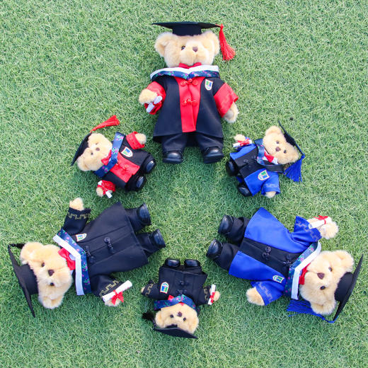 南医学位服泰迪熊 商品图5