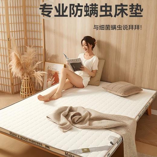 自然醒抗菌防螨针织棉25D高密度海绵填充立体床垫学生宿舍单人租房专用榻榻米垫LN 商品图0