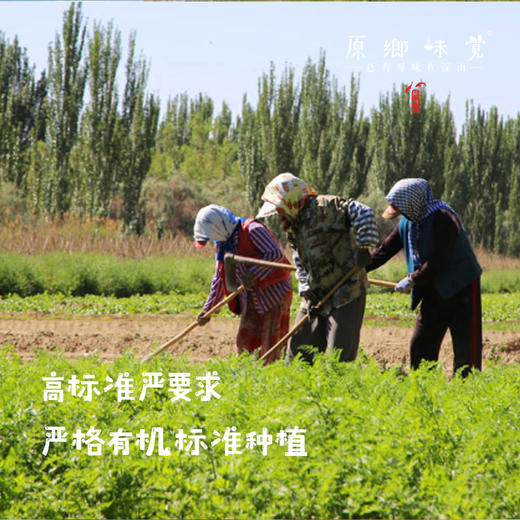 【排单3天发货】新疆“初恋”有机西红柿/番茄（基地直发-顺丰空运）|礼盒装、家庭装，来自新疆库尔勒，生产者：王忠军 商品图2
