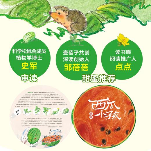 西瓜小孩 商品图1
