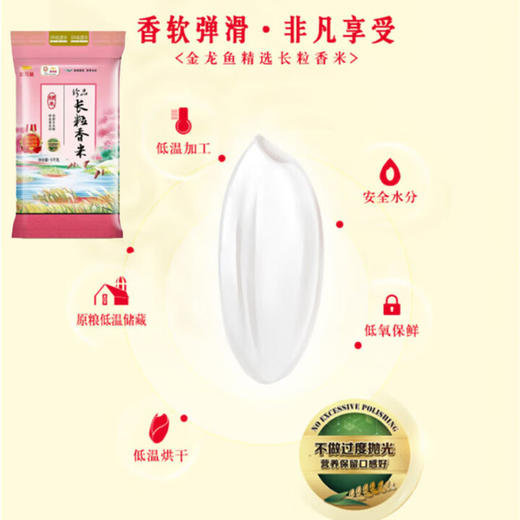 金龙鱼 珍品长粒香米5KG YJTJ 商品图4